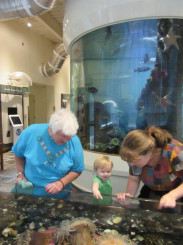 Touching the fishies