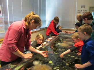 Touch tank at the Kodiak Fisheries Research Center