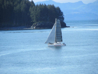 Sail boat