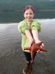 Star fish tide pooling