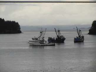 Watching the boats go by